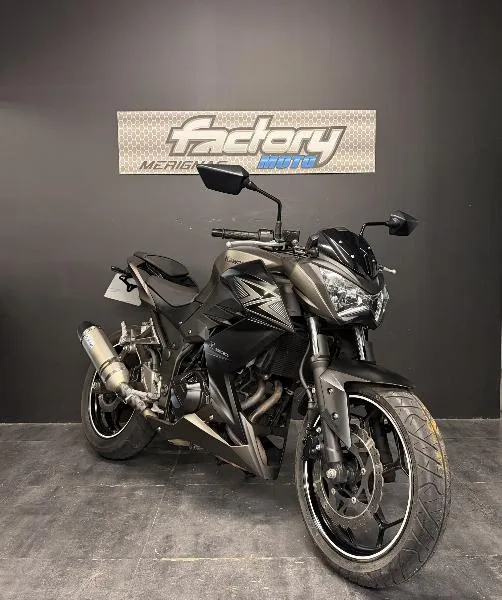 Z 300