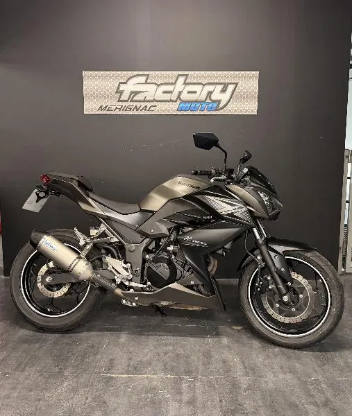 Z 300