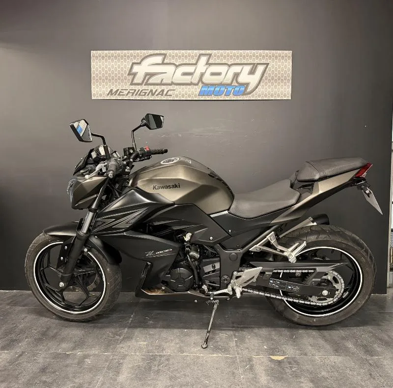 Z 300