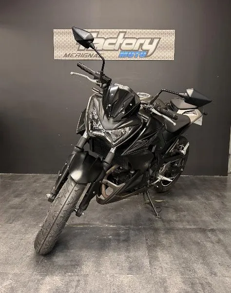 Z 300