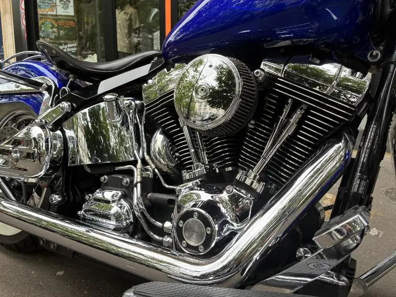 SOFTAIL DELUXE 1690