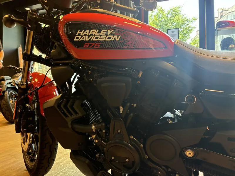 SPORTSTER NIGHTSTER 975