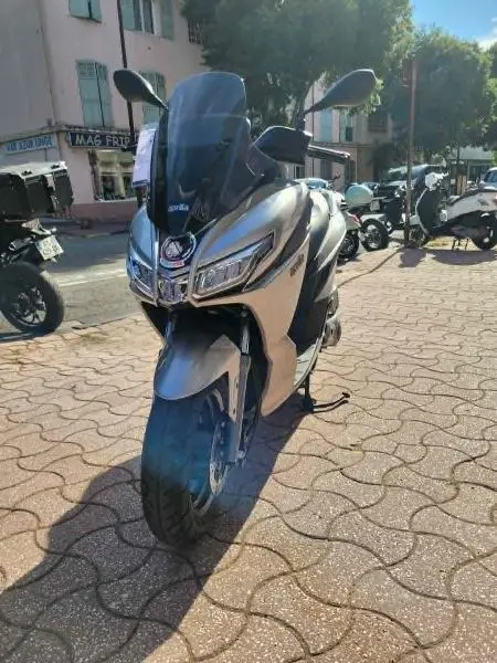 SXR 50