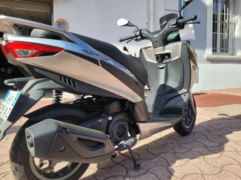 SXR 50