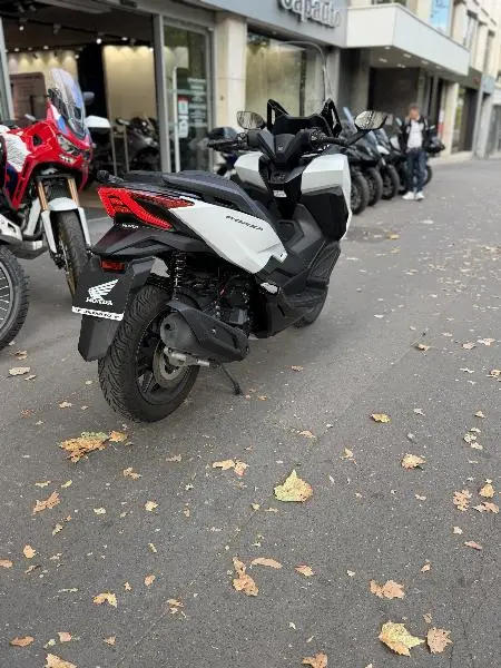 NSS FORZA 125