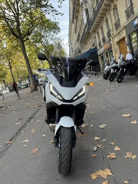 NT 1100