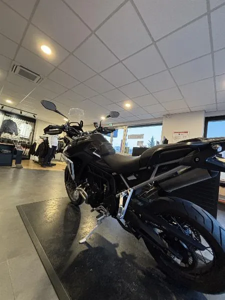 TIGER 900 RALLY PRO