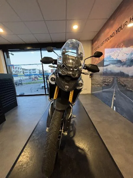 TIGER 900 RALLY PRO