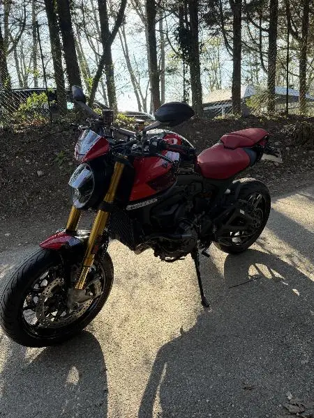 Monster SP