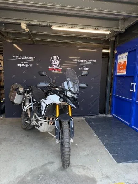 TIGER 900 RALLY PRO