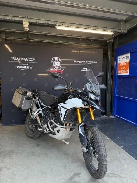 TIGER 900 RALLY PRO
