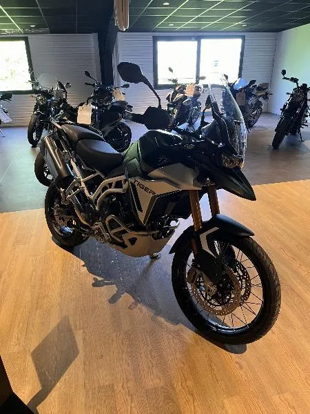 TIGER 900 RALLY PRO