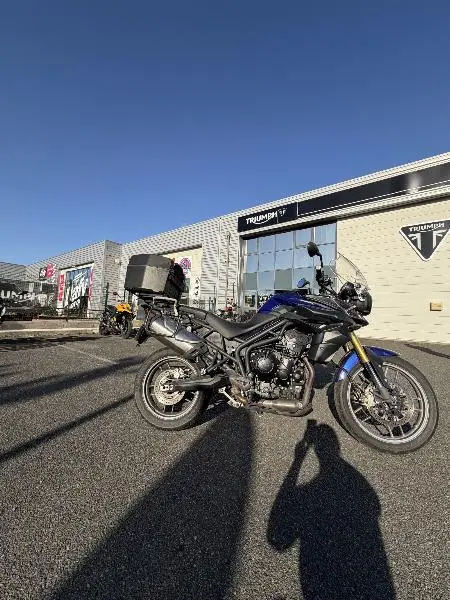 TIGER 800