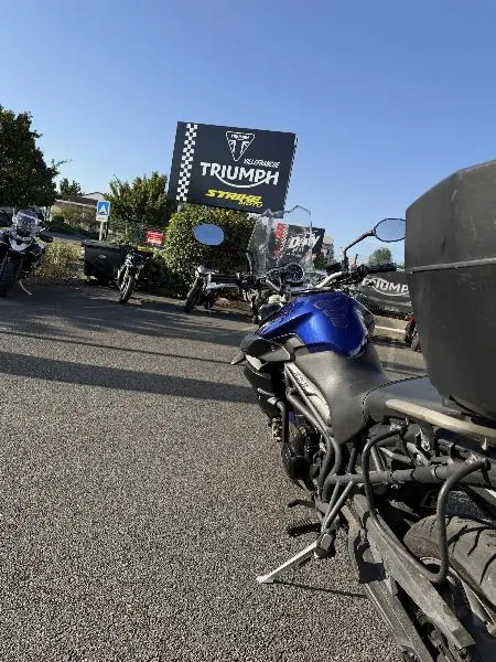 TIGER 800