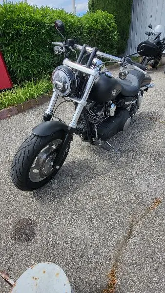 DYNA FAT BOB 1584