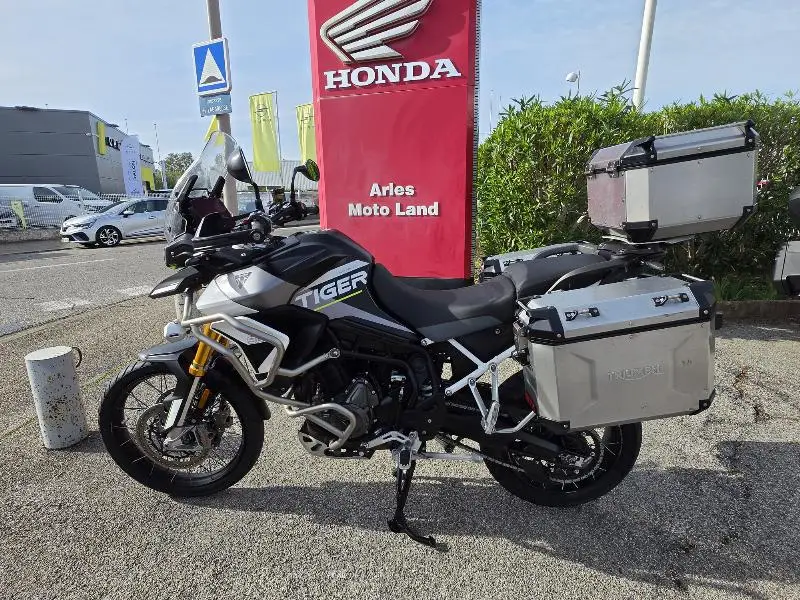 Tiger 900 Rally Aragon Edition 2023
