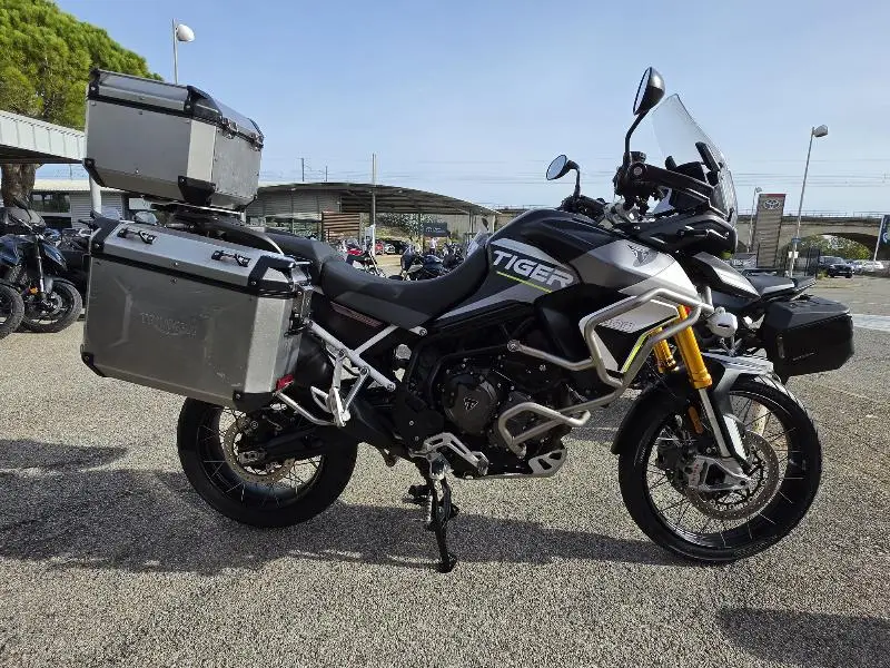 Tiger 900 Rally Aragon Edition