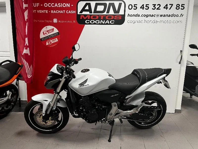 HORNET 600