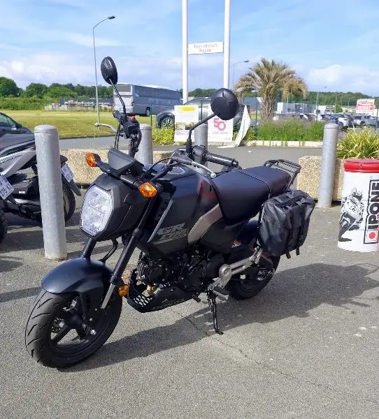 MSX 125 Grom