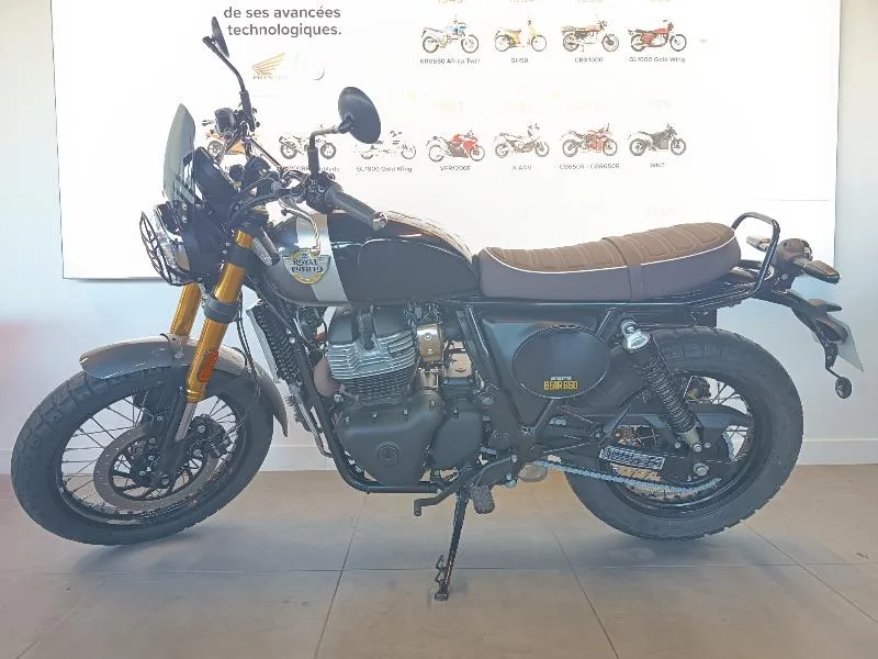 INTERCEPTOR BEAR 650