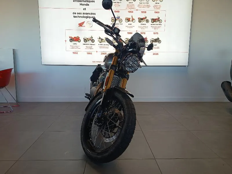 INTERCEPTOR BEAR 650