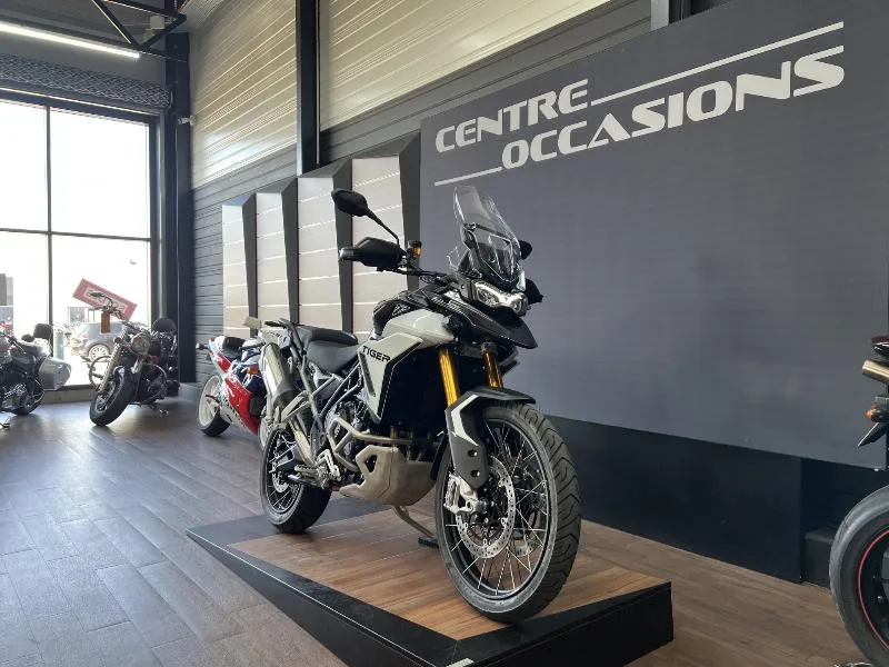 TIGER 900 RALLY PRO