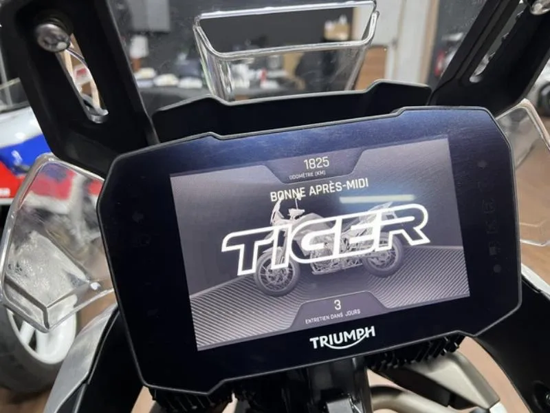 TIGER 900 RALLY PRO