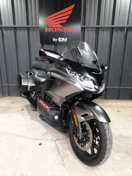 GOLDWING BAGGER