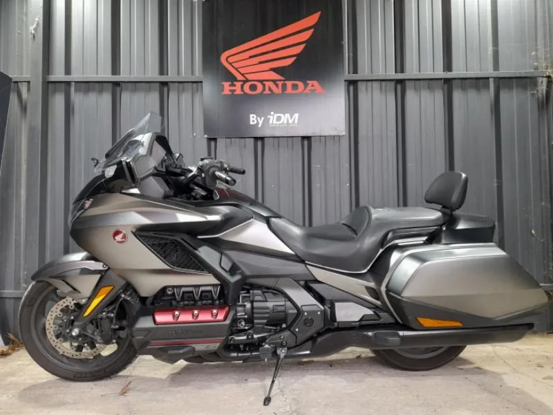 GOLDWING BAGGER
