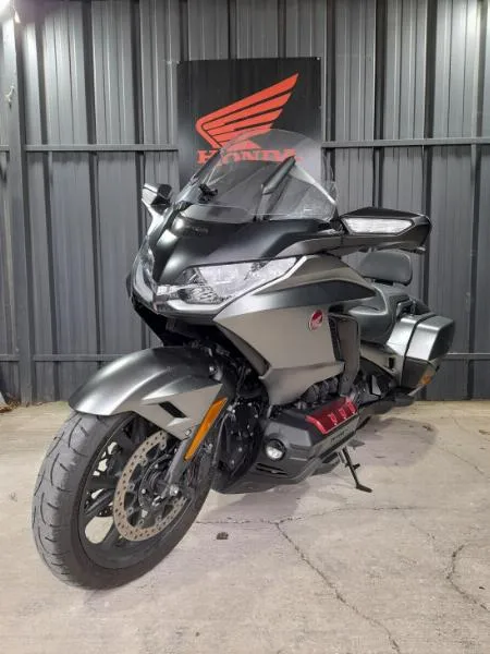 GOLDWING BAGGER