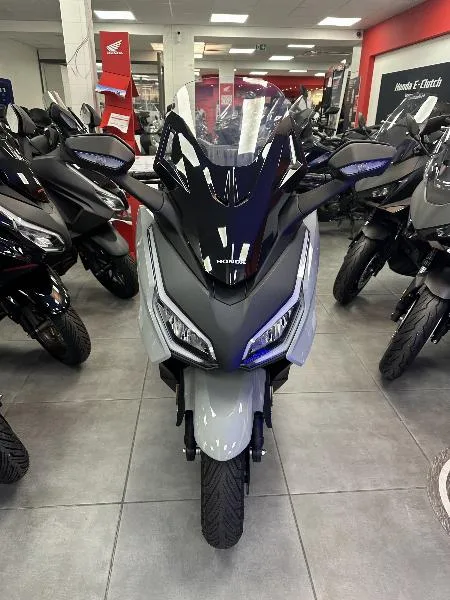 NSS FORZA 350