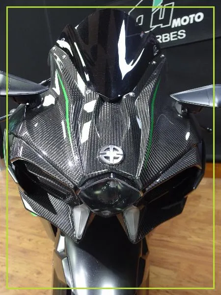 Ninja H2 Carbon