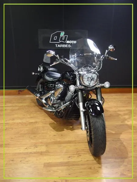 XVS 1300