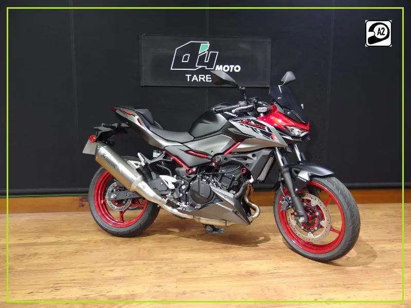 Z 500