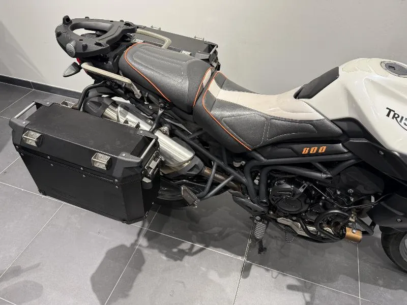 TIGER 800