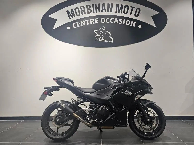 Ninja 500 2026