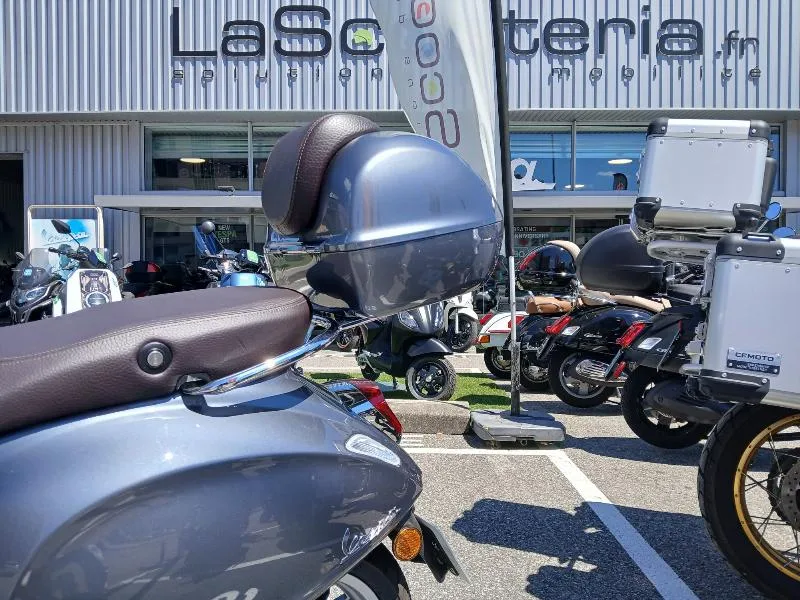 PRIMAVERA 50