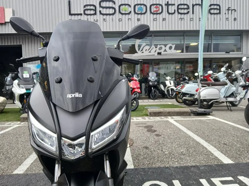 SXR 50