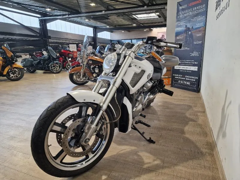 VROD MUSCLE 1250