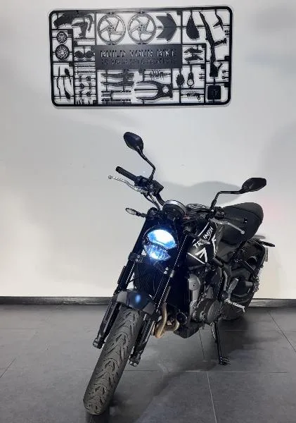 TRIDENT 660