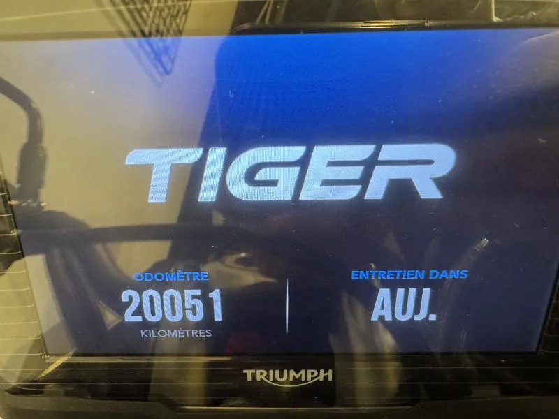 TIGER 800 XRT
