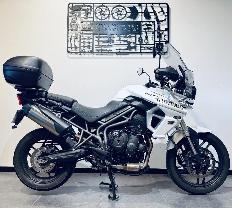 TIGER 800 XRT