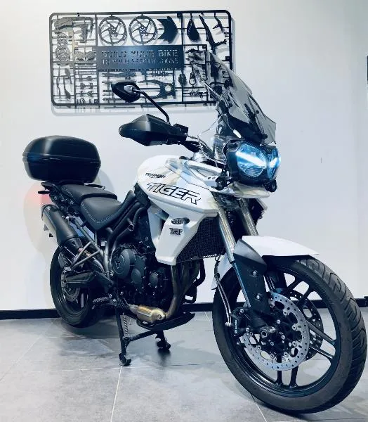 TIGER 800 XRT