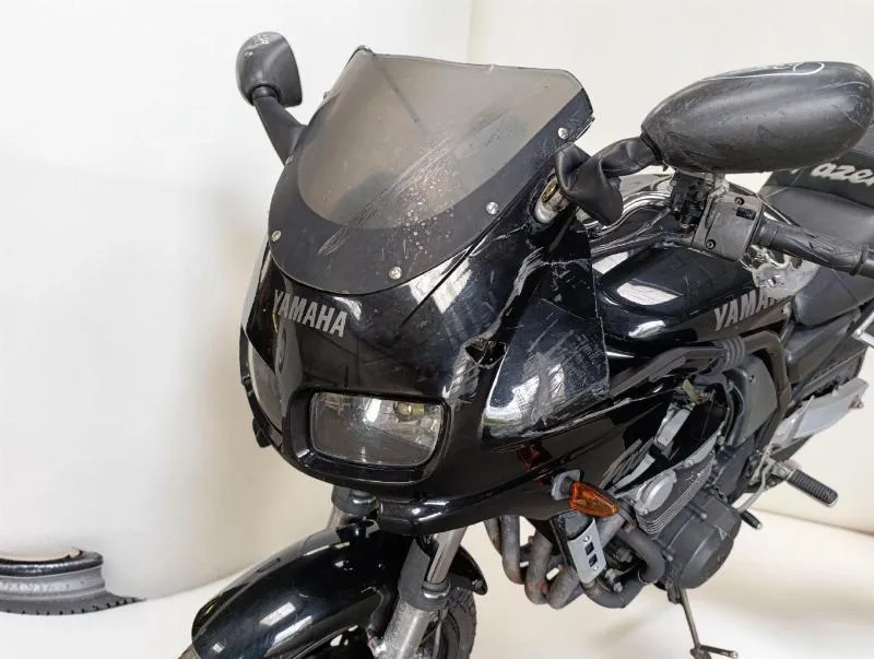 FZR 600