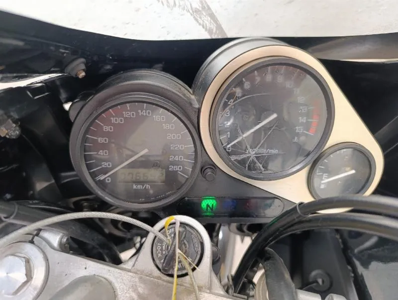 FZR 600