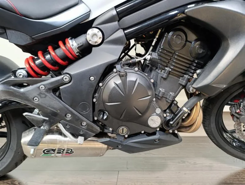 ER6