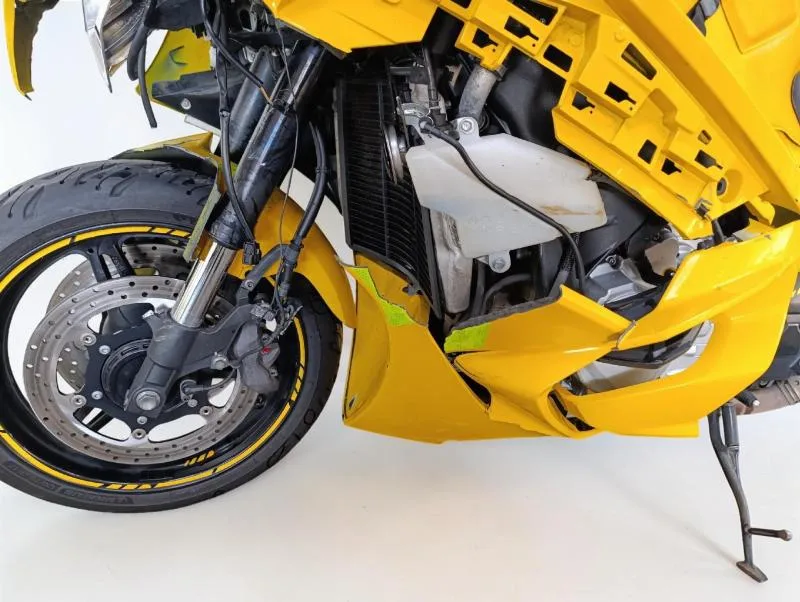 FJR 1300