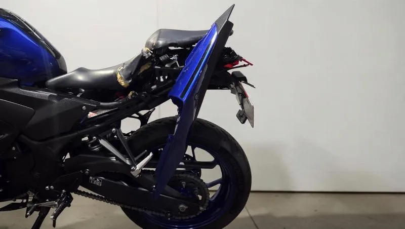 YZFR3