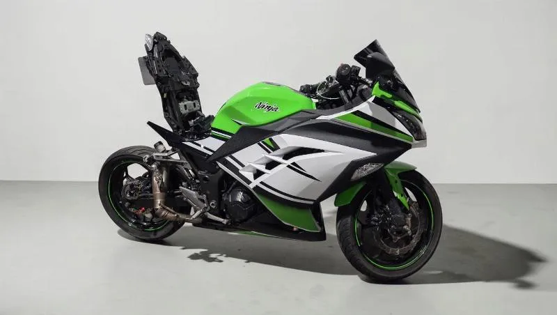 NINJA 300