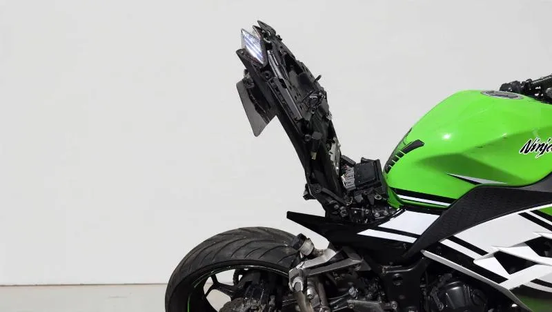 NINJA 300